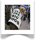 OWS - Tax The Big Dogs