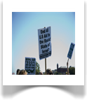 Underdogma Political Sign Gallery 11