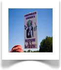 Underdogma Political Sign Gallery 4